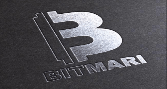 Bitmari slashes remittance costs
