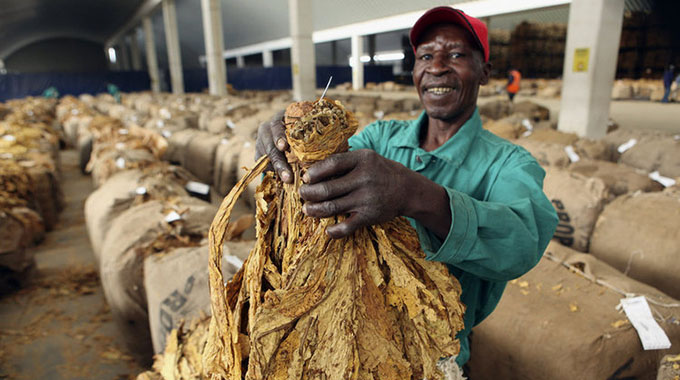 Tobacco farmers protest against buyer