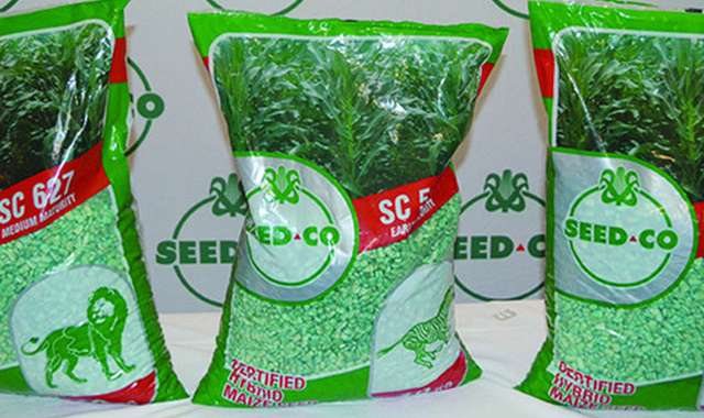 Seed-Co developing rice varieties