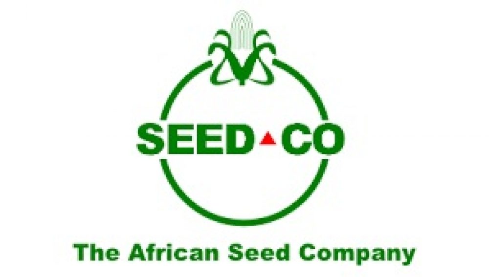 SeedCo loses 25% soya seed to disease